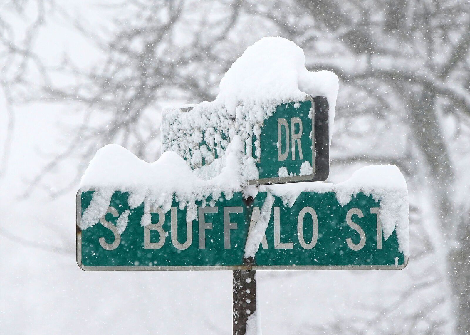 Welcome to Buffalo Street